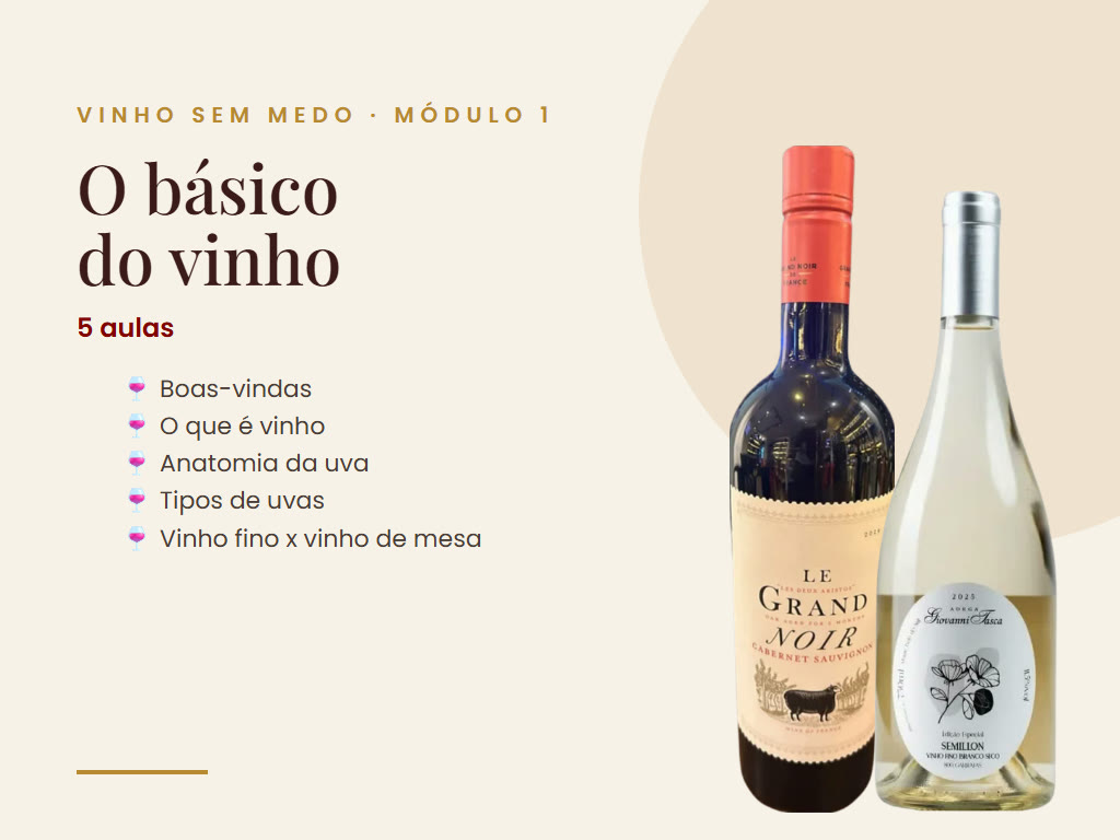 Vinho Sem Medo - Módulo 1 - O básico do vinho