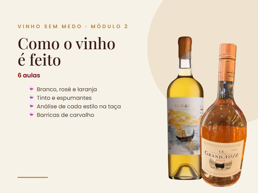 Vinho Sem Medo - Módulo 2 - Como o vinho é feito
