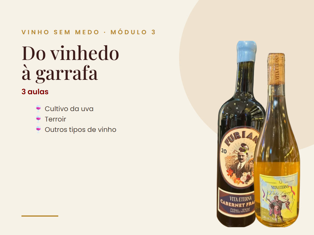 Vinho Sem Medo - Módulo 3 - Do vinhedo à garrafa